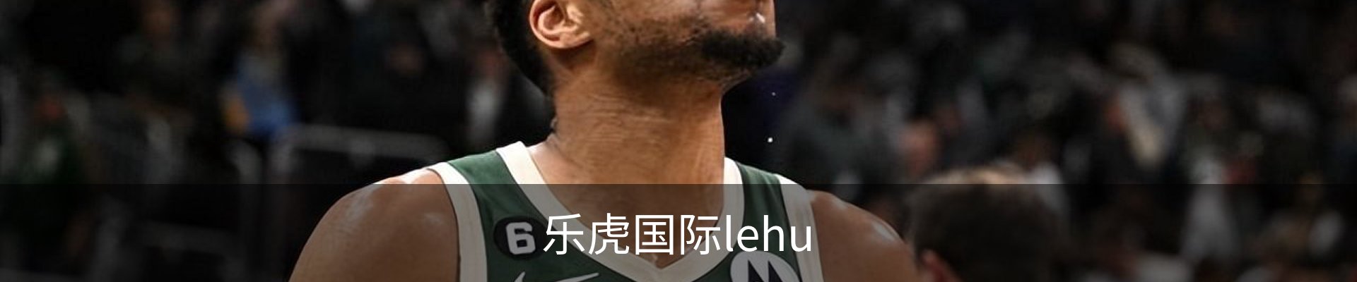 乐虎国际· (lehu)-唯一官方网站